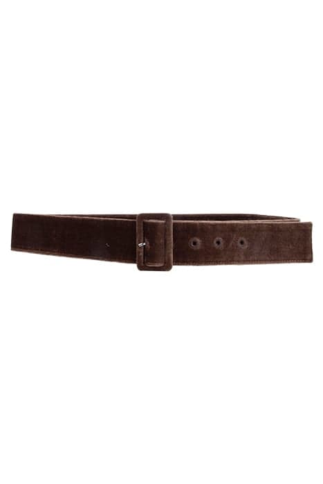 VELVET BELT BROWN by River Woods