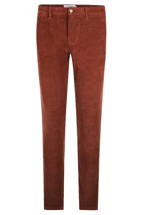 MF CORDUROY CHINO GMD CHESNUT by McGregor