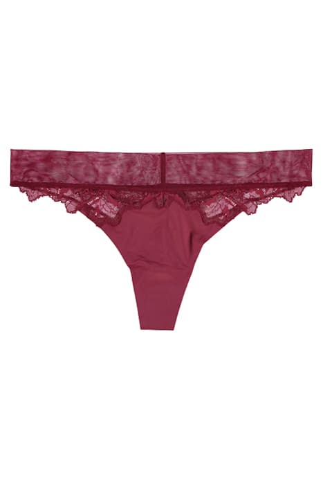 THONG SWEET BERRY by Calvin Klein