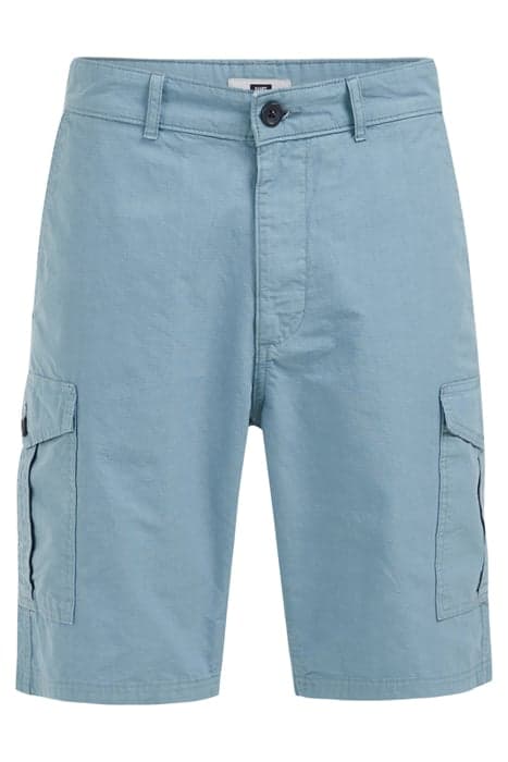 CARGO PANTS GREYISH BLUE by WE Fashion