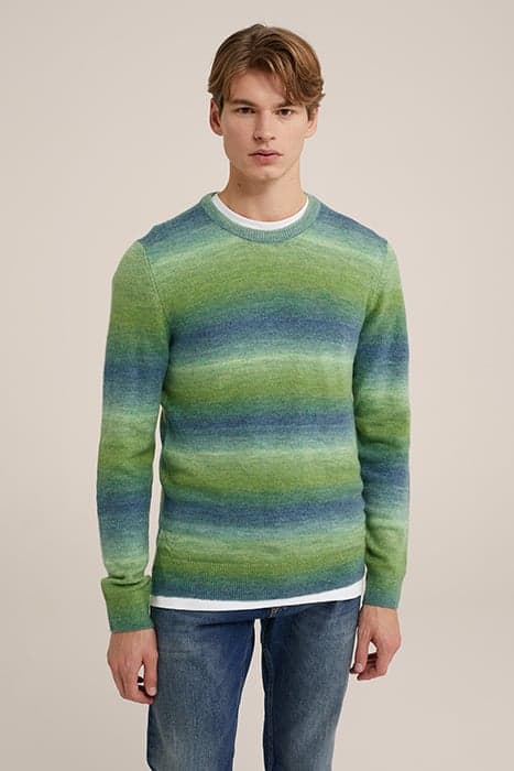 PULLOVER GREEN by WE Fashion