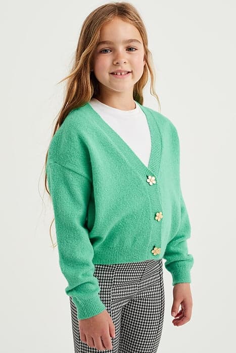 CARDIGAN SEA ​​GREEN by WE Fashion