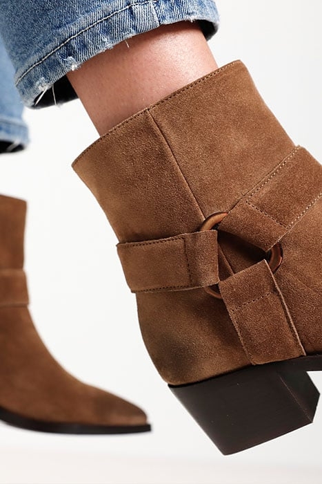 SHELLY CARTER BRUIN 3