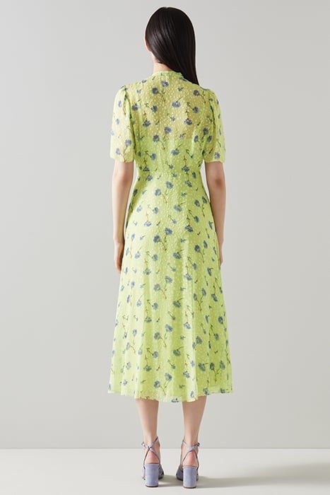 DR SINA CORNFLOWER PRINT LIME 3