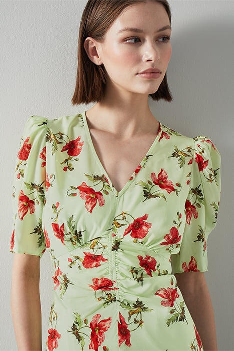 DR GABBI - GIANT POPPY GREEN 6