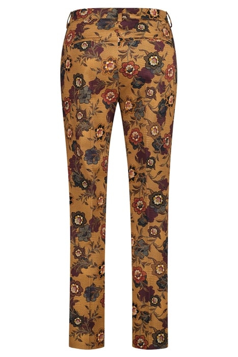 DENISE5-644721 CAMEL 2