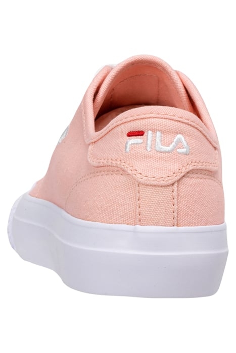 POINTER CLASSIC WMN PALE ROSETTE 4