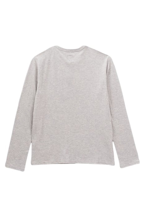 BOYS’ GREY DOUBLE IMAGE AND FLOCKED T-SHIRT GREY 2