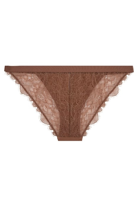 WILD ROSE BRIEF MBROWN 3